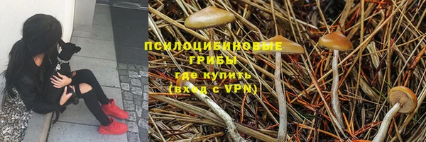гидра Аркадак
