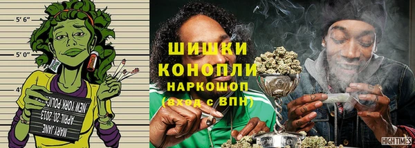 гидра Аркадак
