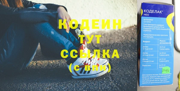 гидра Аркадак