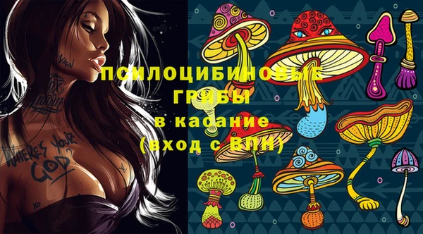 гидра Аркадак