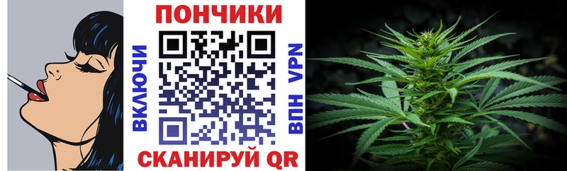 купить   Владивосток  Бошки марихуана OG Kush 